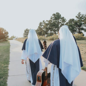 SV Walking Guitar